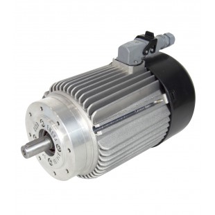 MOTOR ELEKTRIM IE2 B14 1500 2/4 0,25CV-0,18KW 63B IP65