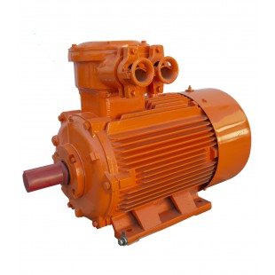 MOTOR IFI IE1 B3 1000  ATEX GAS ANTIDEFLAGRANTE Eex-d II BT-4